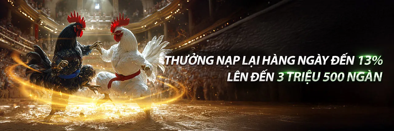 Đá gà kịch tính tại bg888 trang chủ chính thức